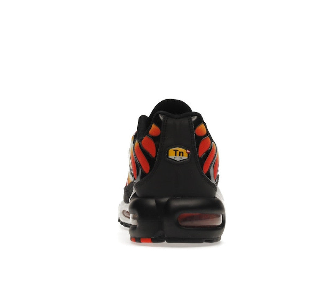 DR8581-800-6.jpg