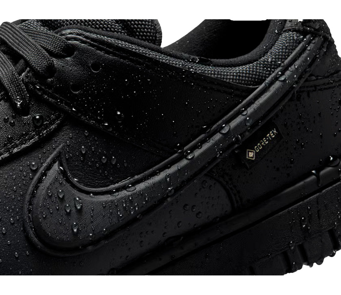 Nike Dunk Low GTX Black | The Last Step