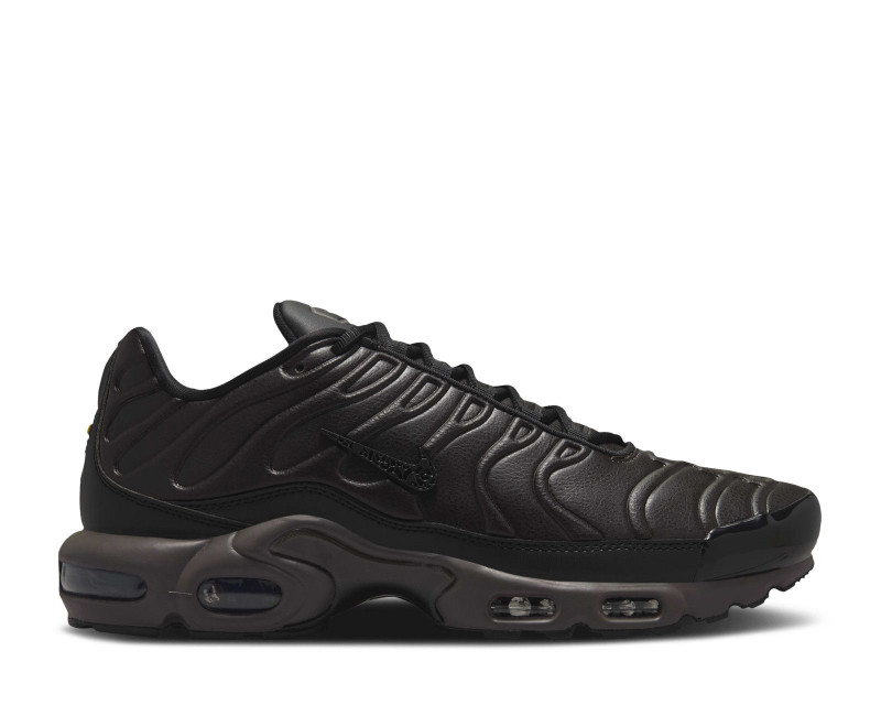 Nike Air Max Plus Premium Paris HJ4519 200 The Last Step