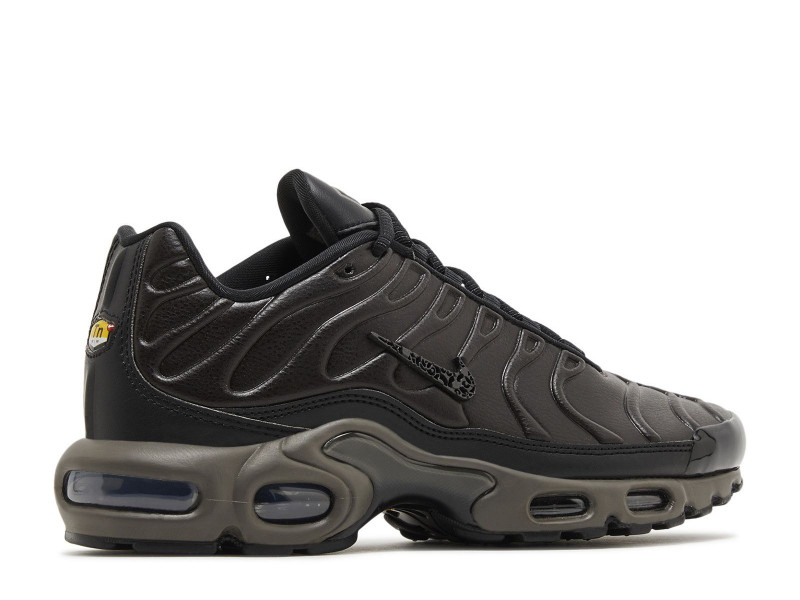Nike Air Max Plus Premium Paris HJ4519 200 The Last Step