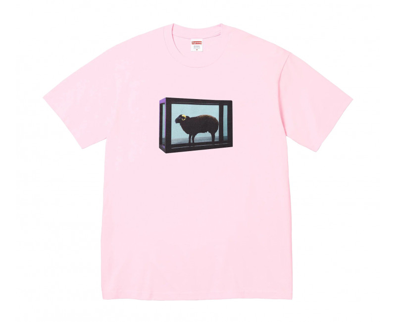 Supreme Tyler The Creator Tee Red - FW24TYLERTEERED | The
